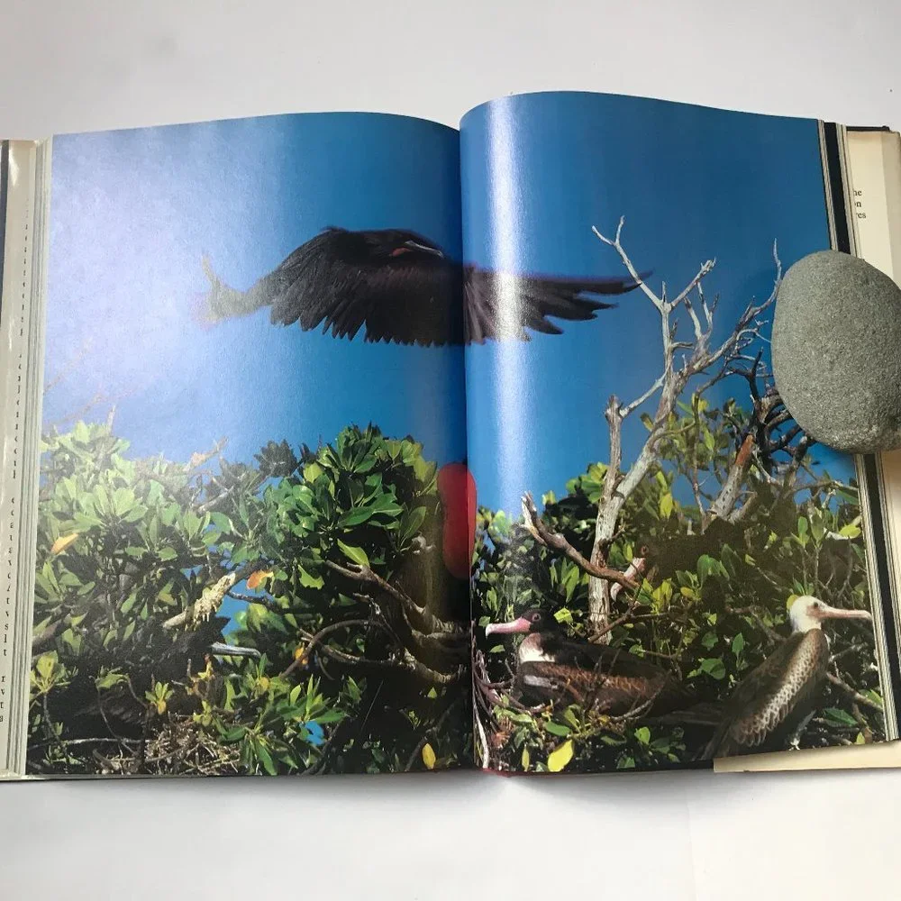 The Living Planet, Inspiration for the PBS TV Series by David Attenborough